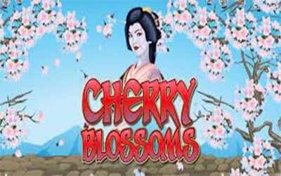 Cherry Blossoms tragamonedas