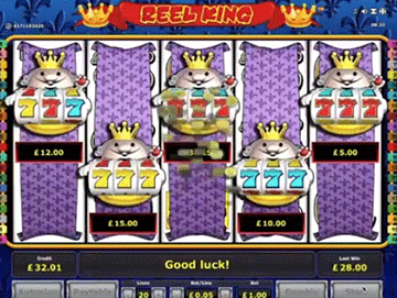 Reel King tragamonedas